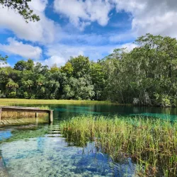 Rainbow Springs State Park - Ocala