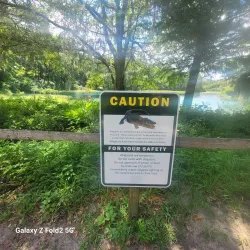 Rainbow Springs State Park - Ocala