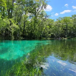 Silver Springs State Park - Ocala