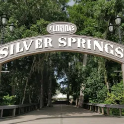 Silver Springs State Park - Ocala