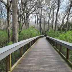 Silver Springs State Park - Ocala