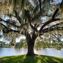 Tuscawilla Park - Ocala