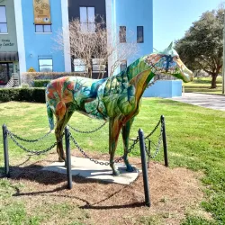 Tuscawilla Park - Ocala