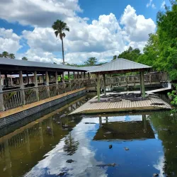 Gatorland - Orlando