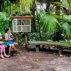 Leu Gardens - Orlando