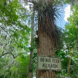 Leu Gardens - Orlando