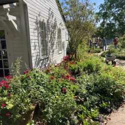 Leu Gardens - Orlando