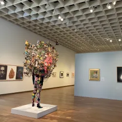 Orlando Museum of Art - Orlando