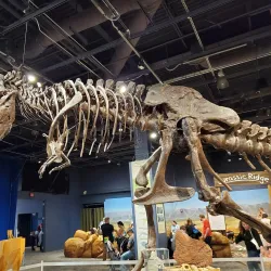 Orlando Science Center - Orlando