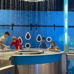 Orlando Science Center - Orlando