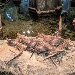 Orlando Science Center - Orlando