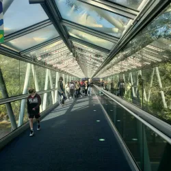 Orlando Science Center - Orlando