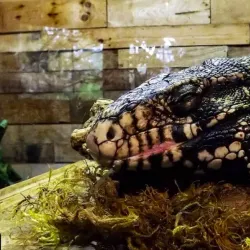 Orlando Science Center - Orlando