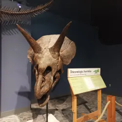 Orlando Science Center - Orlando