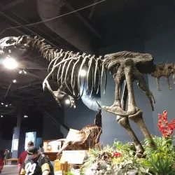 Orlando Science Center - Orlando