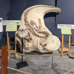 Orlando Science Center - Orlando