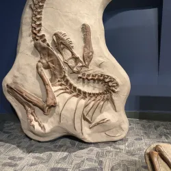 Orlando Science Center - Orlando