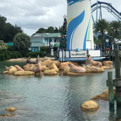 SeaWorld Orlando - Orlando
