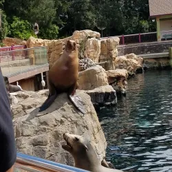 SeaWorld Orlando - Orlando