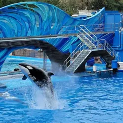 SeaWorld Orlando - Orlando