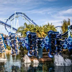 SeaWorld Orlando - Orlando