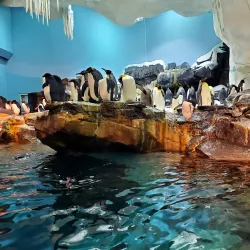 SeaWorld Orlando - Orlando