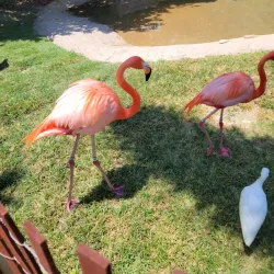 SeaWorld Orlando - Orlando