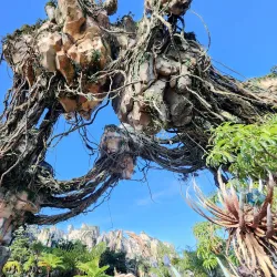 Walt Disney World Resort - Orlando