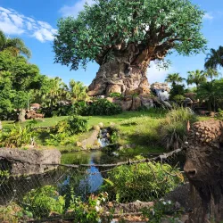 Walt Disney World Resort - Orlando