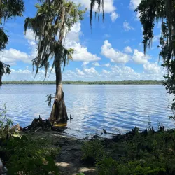 Central Winds Park - Oviedo