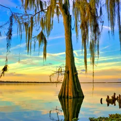 Central Winds Park - Oviedo