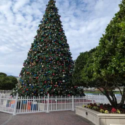 Crane's Roost Park - Oviedo