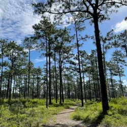 Econ River Wilderness Area - Oviedo
