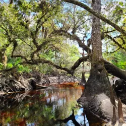 Econ River Wilderness Area - Oviedo