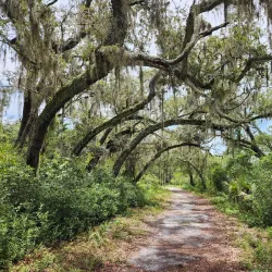 Econ River Wilderness Area - Oviedo