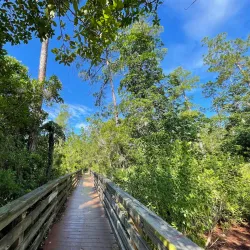 Econ River Wilderness Area - Oviedo