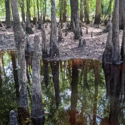 Econ River Wilderness Area - Oviedo
