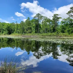 Econ River Wilderness Area - Oviedo