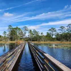 Geneva Wilderness Area - Oviedo