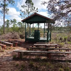 Geneva Wilderness Area - Oviedo