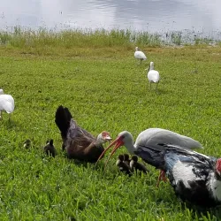 Historic Downtown Oviedo - Oviedo