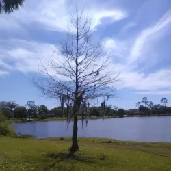 Historic Downtown Oviedo - Oviedo