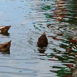 Historic Downtown Oviedo - Oviedo