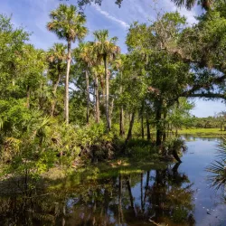 Little Big Econ State Forest - Oviedo