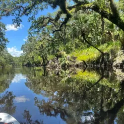 Little Big Econ State Forest - Oviedo