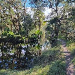 Little Big Econ State Forest - Oviedo