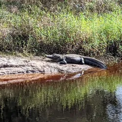 Little Big Econ State Forest - Oviedo