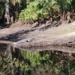 Little Big Econ State Forest - Oviedo