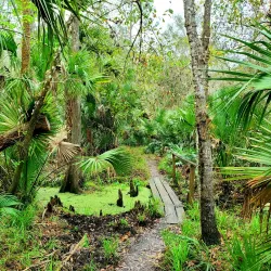 Little Big Econ State Forest - Oviedo