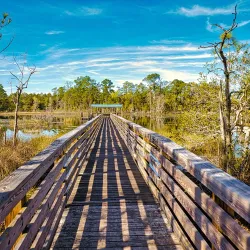 Little Big Econ State Forest - Oviedo